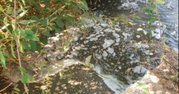 images Catanzaro. Riccio: "Il Corace è una cloaca a cielo aperto, gli autori del disastro ambientale vanno arrestati"