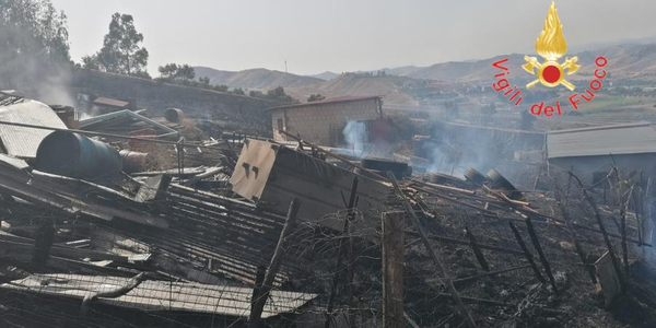 images Catanzaro, in via Curtatone le fiamme distruggono un ricovero di ovini e bovini: salvi gli animali