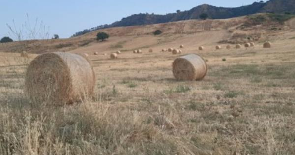 Economia del territorio, Squillace tra i comuni eccellenti nel progetto "Sibater" images Economia del territorio, Squillace tra i comuni eccellenti nel progetto "Sibater"