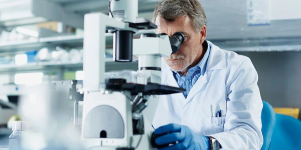 images Innovazione e tecnologie della salute: a Catanzaro una delegazione della Commissione europea fa visita a Biotecnomed