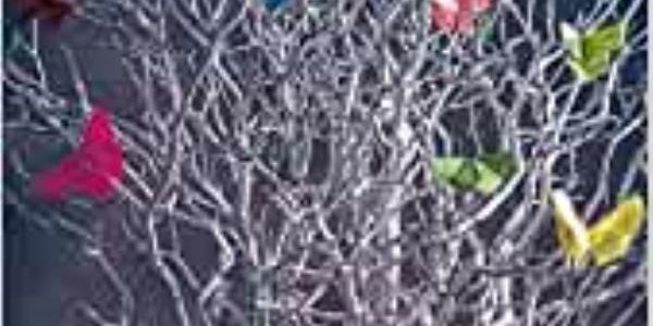 “Inconsapevoli crisalidi”, domani a Soverato la presentazione del libro di Andrea Barbuto images “Inconsapevoli crisalidi”, domani a Soverato la presentazione del libro di Andrea Barbuto