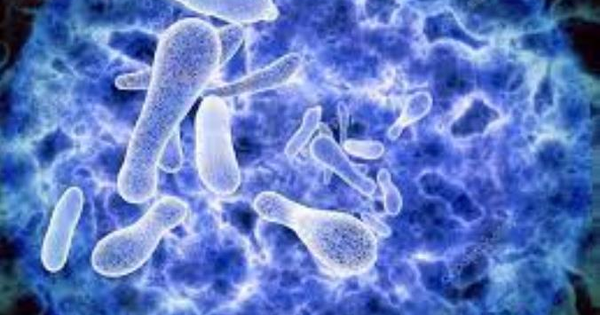 images Caso di legionella a Catanzaro: arriva l'ordinanza di divieto di uso di un'abitazione in via Pugliese 