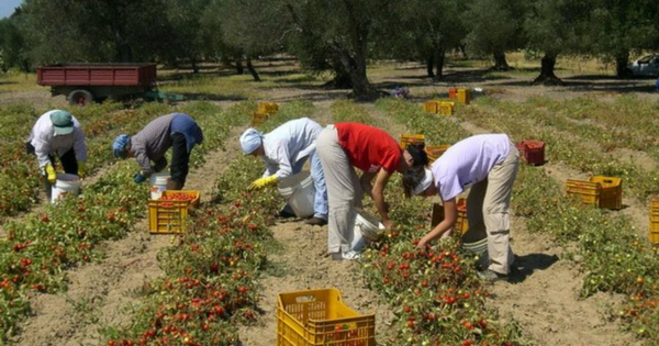 images Richiedono il permesso di soggiorno ma la Questura di Reggio ne ordina l'espulsione: accolto il ricorso per 2 braccianti indiani