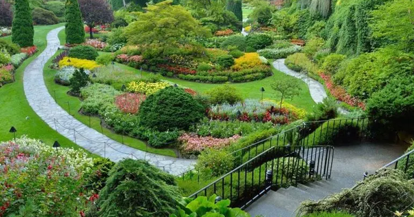 Settore vivaistico e agrituristico, la Calabria va a scuola di Garden Design e Ospitalità Rurale images Settore vivaistico e agrituristico, la Calabria va a scuola di Garden Design e Ospitalità Rurale