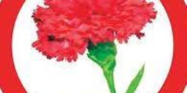 images Regionali. Domani il Psi presenta la lista e inaugura la segreteria elettorale 