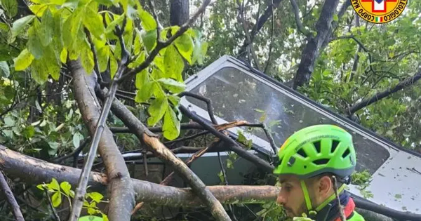 Tragedia al Faito, AMC e Asstra Calabria: “Il dolore di uno è il dolore di tutti” images Tragedia al Faito, AMC e Asstra Calabria: “Il dolore di uno è il dolore di tutti”