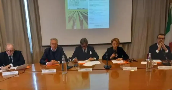 images Agricoltura, report sulla Calabria centrale e Falbo: "Crescono le grandi aziende, ma flette l'export"