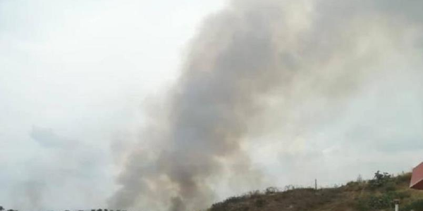 images La prevenzione piace ai ragazzi