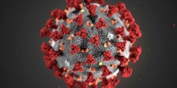 images Coronavirus, il bollettino: 1.624 contagi e 5 morti (ELENCO PER PROVINCE)