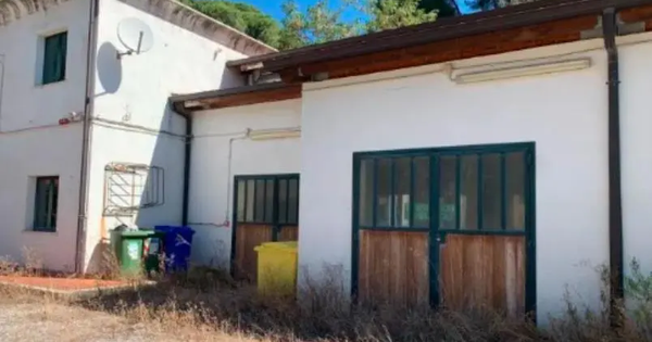 Tragedia a Catanzaro, processo d'Appello da rifare per uno stalliere images Tragedia a Catanzaro, processo d'Appello da rifare per uno stalliere