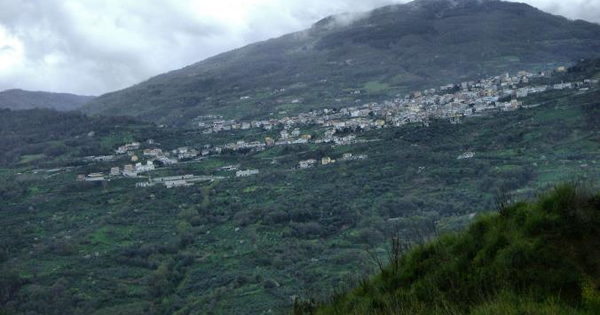 San Mango d'Aquino come New York è città verde per la Fao images San Mango d'Aquino come New York è città verde per la Fao