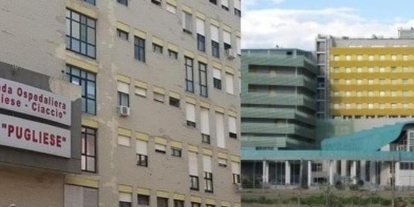 Dulbecco, Domenico Perri è il nuovo direttore sanitario aziendale images Dulbecco, Domenico Perri è il nuovo direttore sanitario aziendale