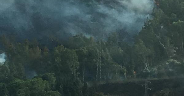 Taekwondo, Bronzo alle Universiadi per il cropanese Flecca images Taekwondo, Bronzo alle Universiadi per il cropanese Flecca