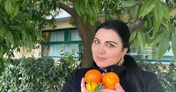 Catanzaro. Dona a 136 famiglie bisognose agrumi del suo terreno, l'appello di Elena Bitonte a "chiunque voglia regalare i frutti dei propri alberi" images Catanzaro. Dona a 136 famiglie bisognose agrumi del suo terreno, l'appello di Elena Bitonte a "chiunque voglia regalare i frutti dei propri alberi"