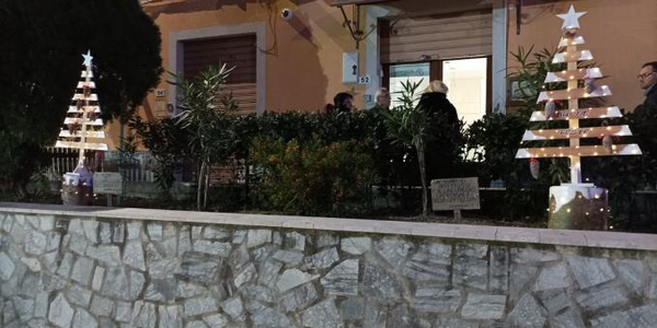 images Pentone, alberelli green per festeggiare il Natale 