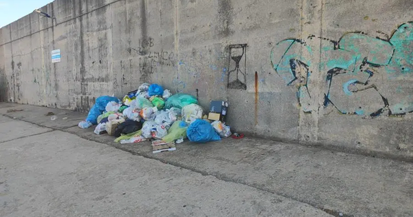 images Cumuli di spazzatura lungo il molo del porto di Catanzaro, la denuncia: "Situazione indecorosa"