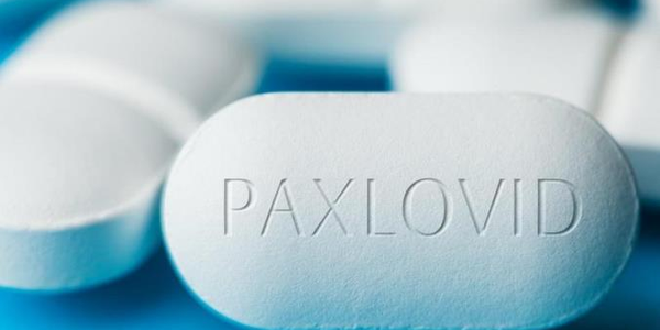 images Covid, la Regione dà l'ok alla prescrizione del Paxlovid: usate scorte farmaco regionali