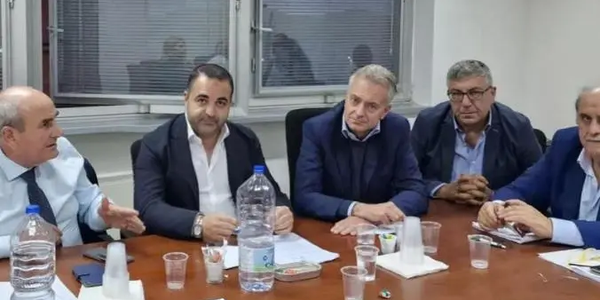 images Peste suina nel Reggino, riunione con il Commissario straordinario Caputo: adottate nuove misure per arginare l'avanzata della malattia