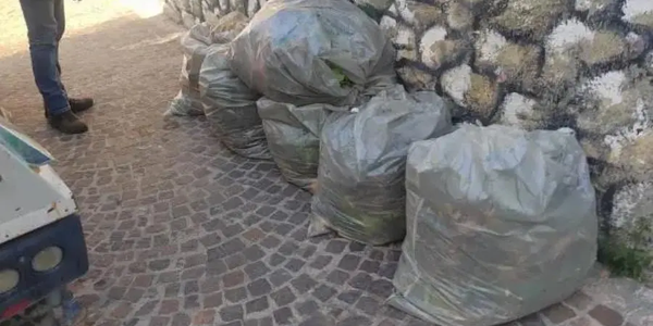 images Raccolta differenziata a Simeri Crichi: nuovo gestore e miglioramenti in arrivo